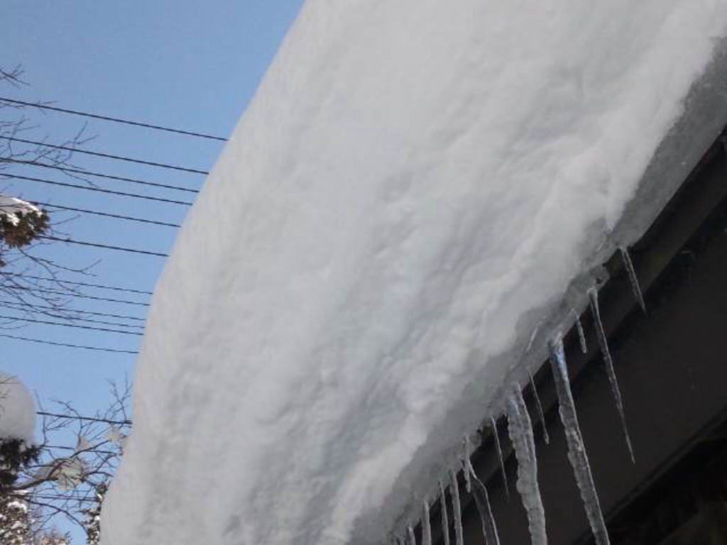 snow-country-house-roof-shape-5